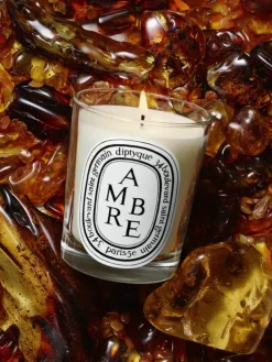 Ambre (Amber) Classic Candle-Diptyque Cheap