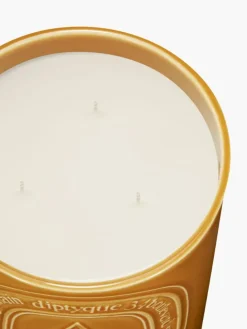 Ambre (Amber) Large Candle-Diptyque Discount