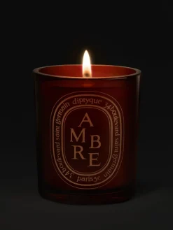 Ambre (Amber) Medium Candle-Diptyque Fashion
