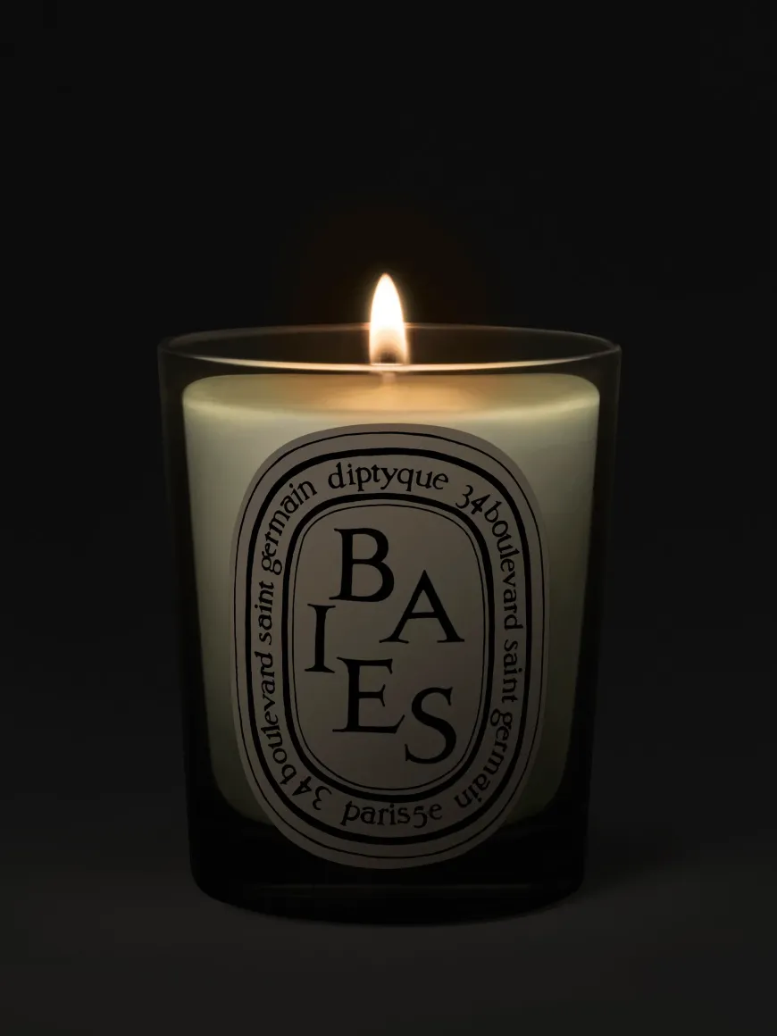 Baies (Berries) Classic Candle-Diptyque Outlet