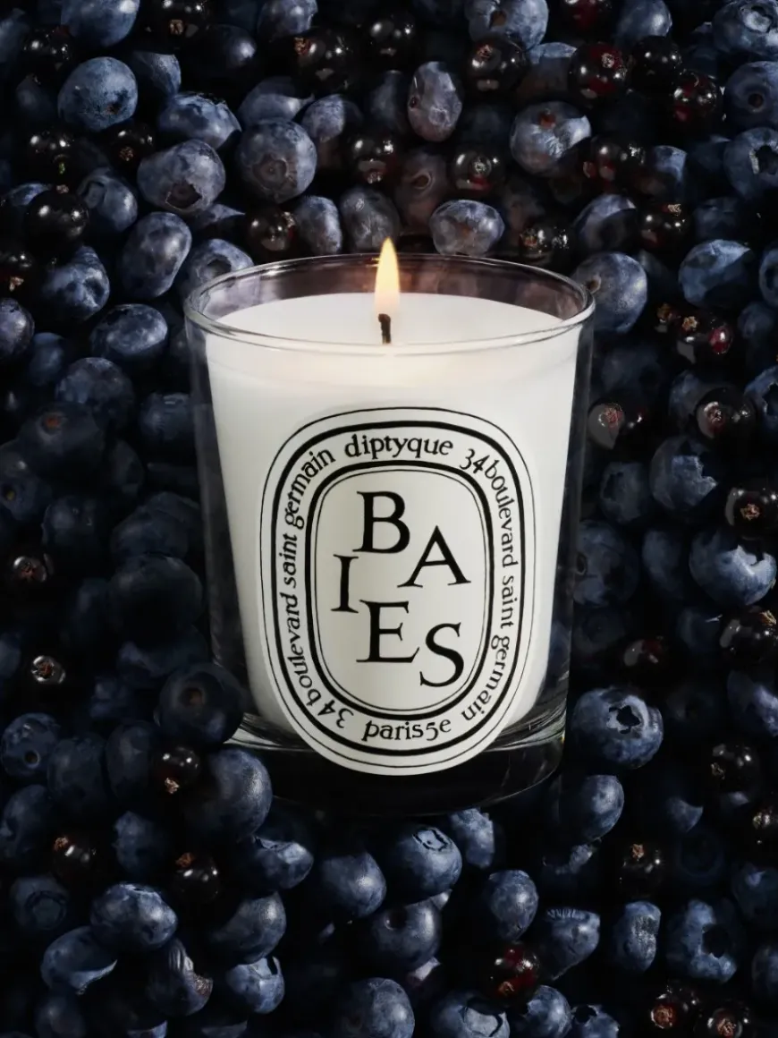 Baies (Berries) Classic Candle-Diptyque Outlet