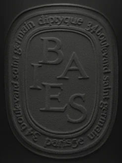 Baies (Berries) Very Large Candle-Diptyque Shop