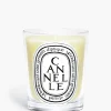 Cannelle (Cinnamon) Classic Candle-Diptyque Best