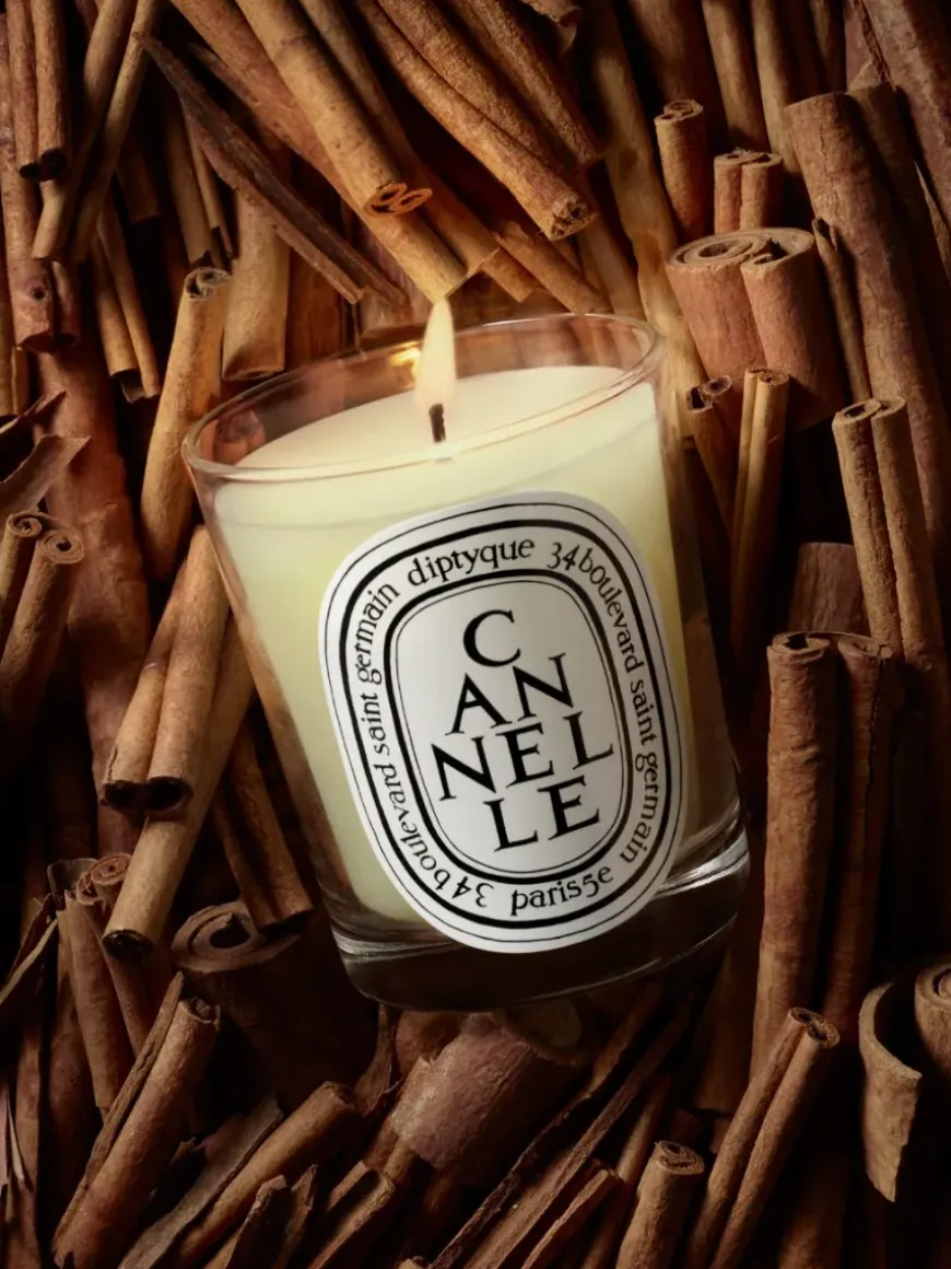 Cannelle (Cinnamon) Classic Candle-Diptyque Best