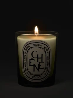 Chêne (Oak Tree) Classic Candle-Diptyque Fashion
