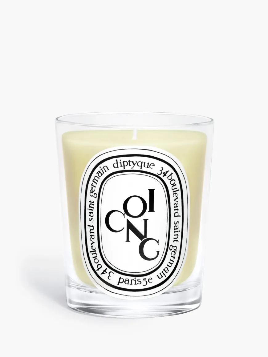 Coing (Quince) Classic Candle-Diptyque New