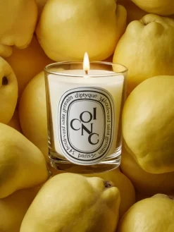 Coing (Quince) Classic Candle-Diptyque New