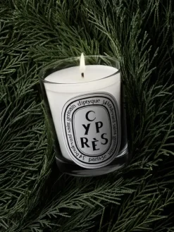 Cyprès (Cypress) Small Candle-Diptyque Outlet