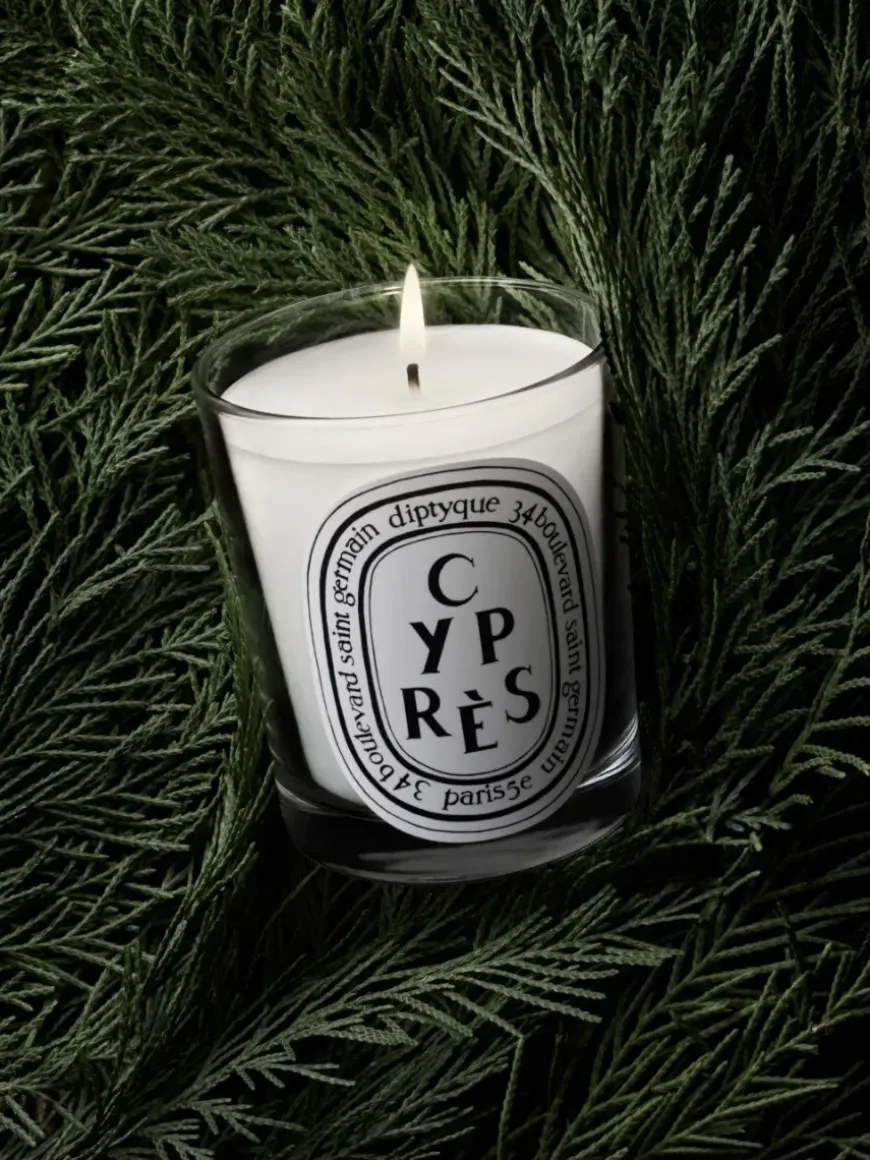 Cyprès (Cypress) Small Candle-Diptyque Outlet