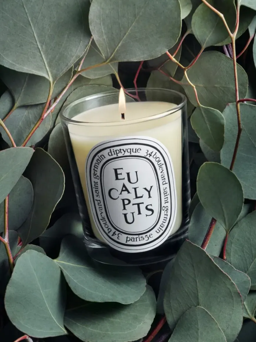Eucalyptus Classic Candle-Diptyque Fashion