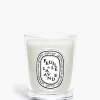 Feuille de Lavande (Lavender Leaf) Small Candle-Diptyque Store