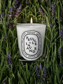 Feuille de Lavande (Lavender Leaf) Small Candle-Diptyque Store