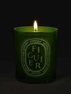Figuier (Fig Tree) Medium Candle-Diptyque Discount