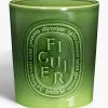 Figuier (Fig Tree) Very Large Candle-Diptyque Cheap