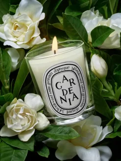 Gardenia Classic Candle-Diptyque Outlet