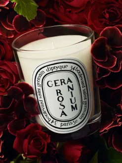 Geranium Rosa Classic Candle-Diptyque Store