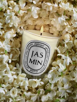 Jasmin (Jasmine) Small Candle-Diptyque Flash Sale