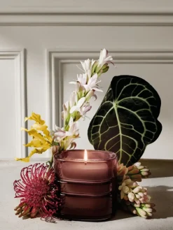 La Forêt Rêve (Forest Dreams) Refillable Candle-Diptyque Fashion