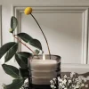 La Vallée du Temps (Valley of Time) Refillable Candle-Diptyque Store