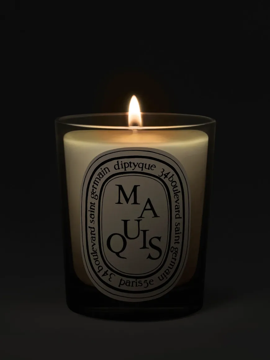 Maquis (Scrub) Classic Candle-Diptyque Sale
