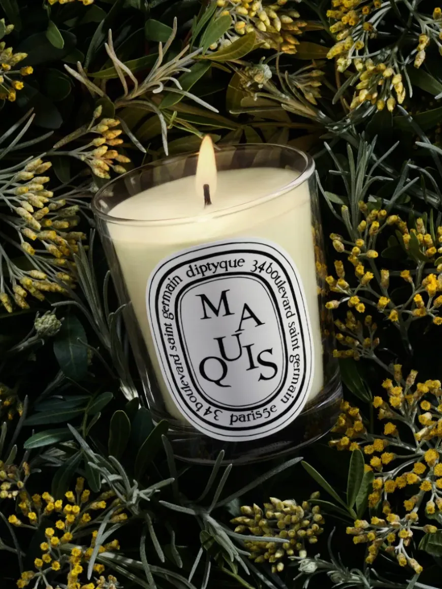 Maquis (Scrub) Classic Candle-Diptyque Sale