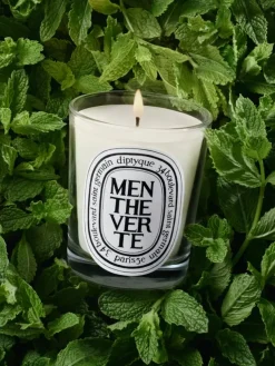 Menthe Verte (Spearmint) Classic Candle-Diptyque Sale