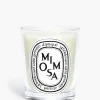 Mimosa Classic Candle-Diptyque Outlet