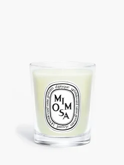 Mimosa Small Candle-Diptyque Best