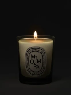 Mimosa Small Candle-Diptyque Best