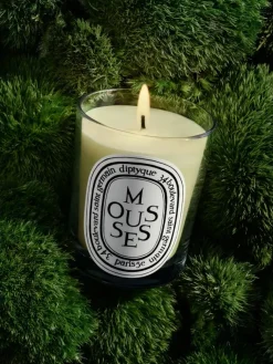 Mousses(Moss) Classic Candle-Diptyque Best Sale