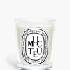 Muguet (Lily of the Valley) Classic Candle-Diptyque Discount