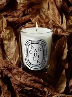 Narguilé Classic Candle-Diptyque Flash Sale