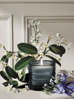 Nymphées Merveilles (Nymphaeum of Wonders) Refillable Candle-Diptyque Outlet