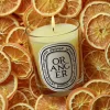 Oranger (Orange Tree) Classic Candle-Diptyque Shop