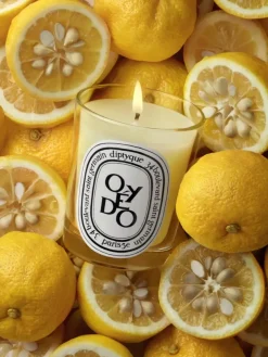 Oyédo Classic Candle-Diptyque New