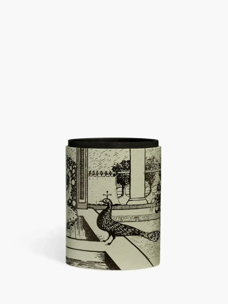 Pencil pot Peacock and Plume-Diptyque Shop