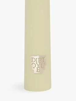 Sapin (Pine Tree) Taper candle-Diptyque Best