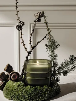 Temple des Mousses (Moss Temple) Refillable Candle-Diptyque Cheap