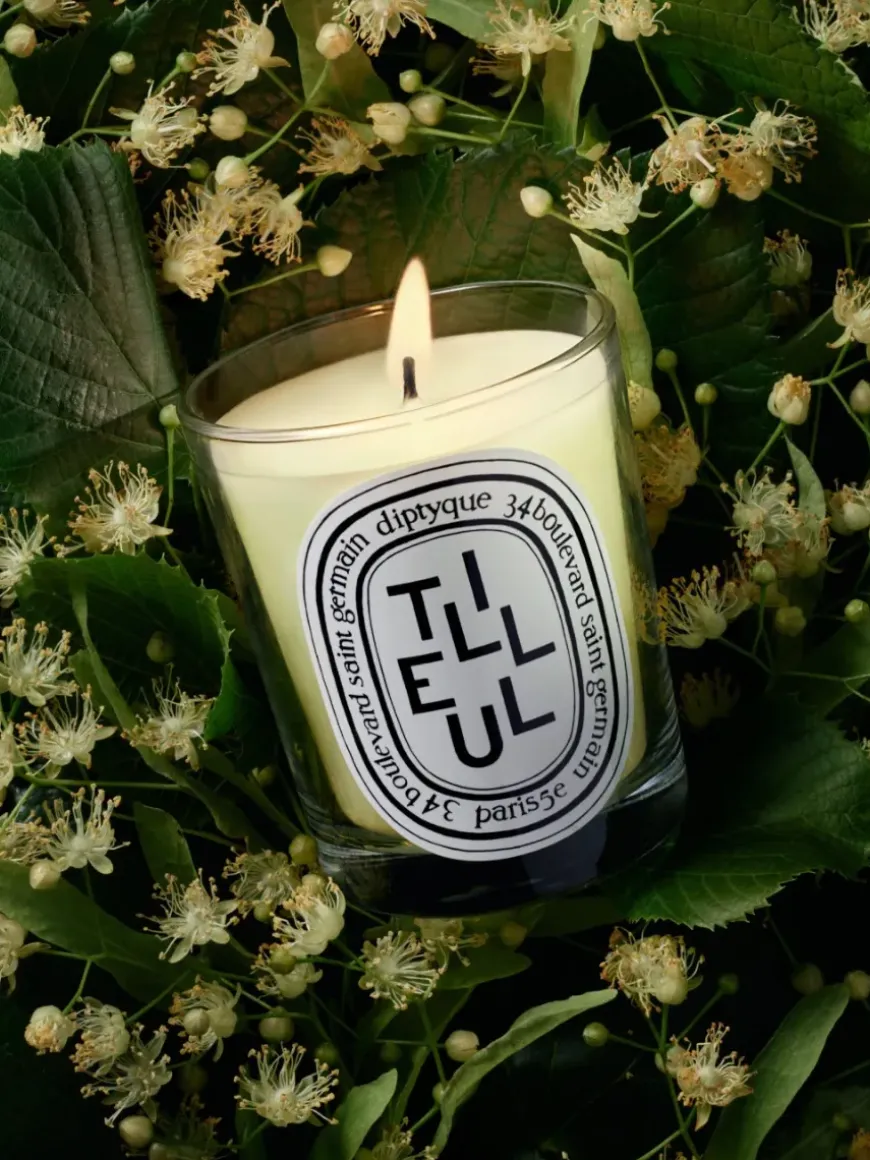 Tilleul (Linden Tree) Classic Candle-Diptyque Flash Sale