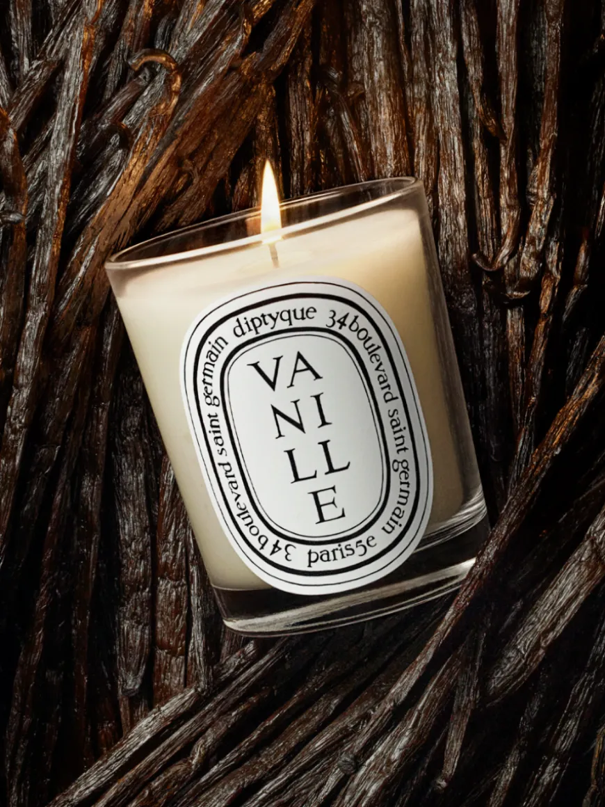 Vanille (Vanilla) Classic Candle-Diptyque Discount