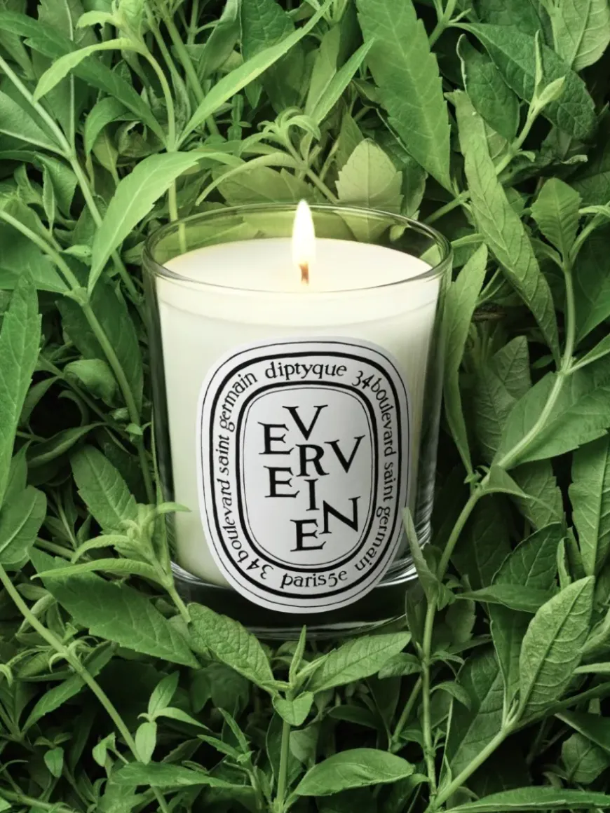 Verveine (Lemon Verbena) Small Candle-Diptyque Outlet