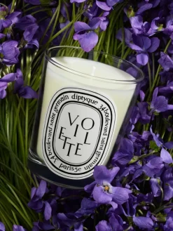 Violette (Violet) Classic Candle-Diptyque Store